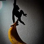 With Monkey Vibes *