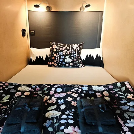 With Monkey Vibes * Братислава