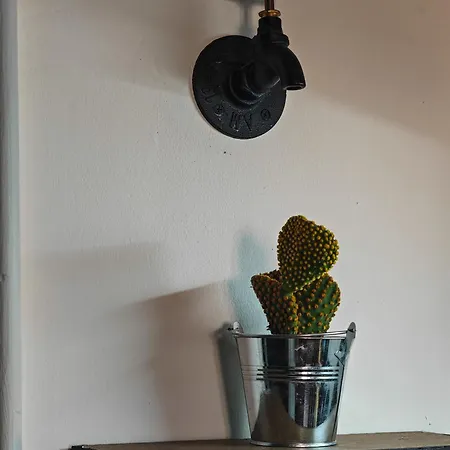 With Monkey Vibes Апартаменты *