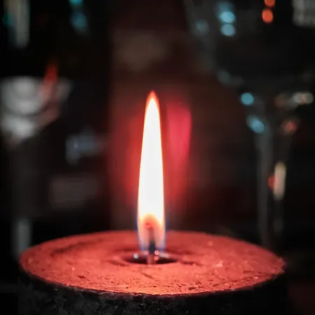 With Monkey Vibes Apartamento *