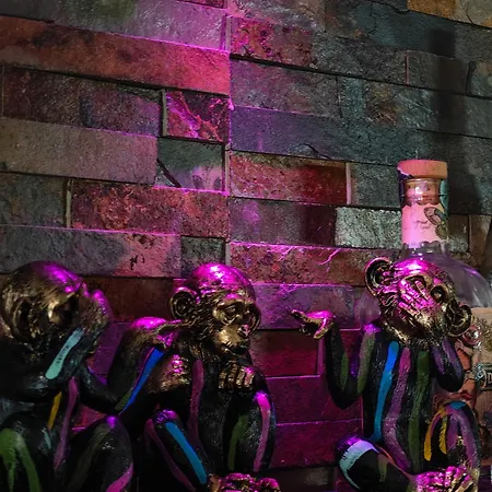 Apartamento With Monkey Vibes *