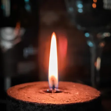 With Monkey Vibes Братислава