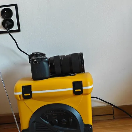 Apartamento With Monkey Vibes