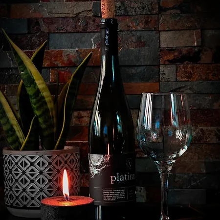 With Monkey Vibes Apartamento *