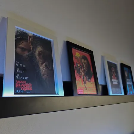 With Monkey Vibes Lejlighed