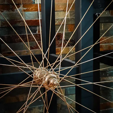 Lejlighed With Monkey Vibes