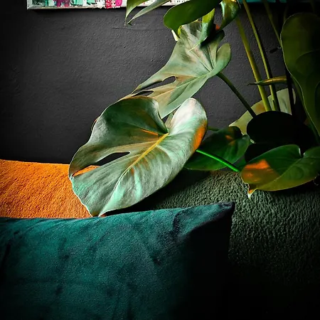 With Monkey Vibes Lejlighed Bratislava