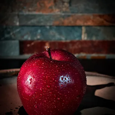 Lejlighed With Monkey Vibes *