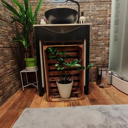 Apartment With Monkey Vibes