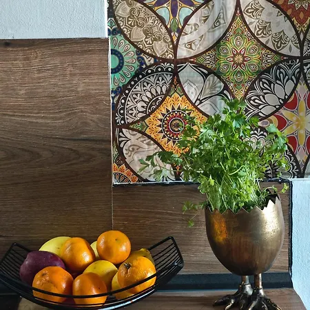 Apartment With Monkey Vibes